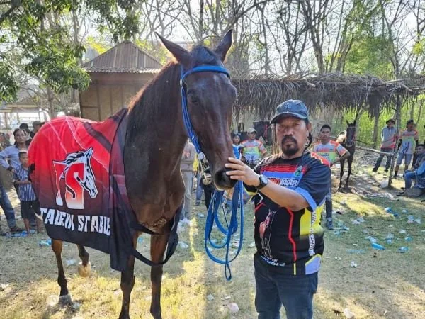 Kanit Buser Pegasus Sat Reskrim Polres Jeneponto, Aipda Abd Rasyad saat menggiring Kuda Pacu Taufik Stable di Kompetisi Karsut Cup (Dok : Ist).