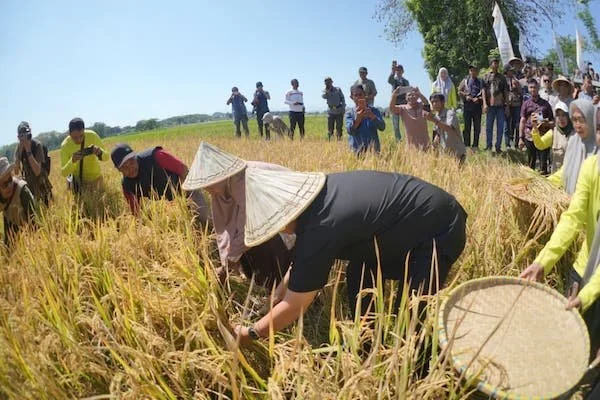 Wali Kota Makassar Munafri Arifuddin di Musyawarah Tani Abbulo Sibatang, (Dok: Ist).