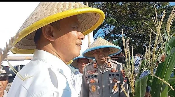 Irwil III Itwasum Polri, Brigjen Pol. Herukoco, bersama Kapolres Jeneponto, AKBP Widi Setiawan saat melakukan peninjauan langsung lahan jagung di Dusun Kalumpang Lompoa, Desa Kalumpang Loe, Kecamatan Arungkeke, Sulawesi Selatan. (Ist).
