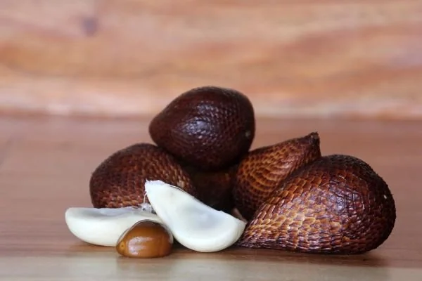 Ilustrasi Buah Salak (Dok : Int).