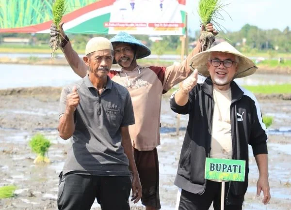Wabup Bantaeng, Sahabuddin saat menghadiri penanaman padi Genjah. Dok. Ist