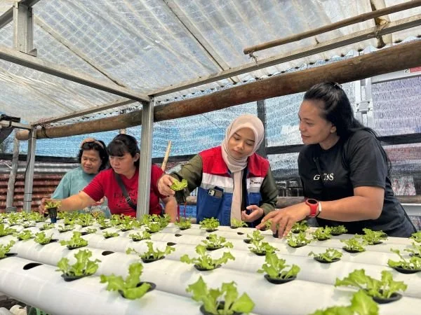Pelatihan pembibitan, pendampingan perawatan dan pemasaran hasil panen (Dok : Ist).