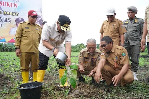 Pj Gubernur Sulbar saat melakukan penanaman pohon sukun di kabupaten Pasangkayu (dok:Ist)