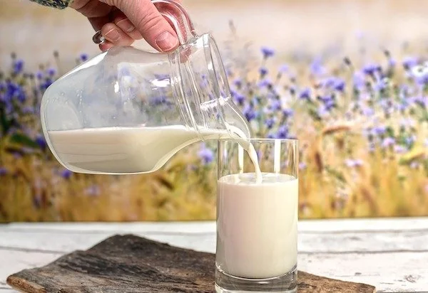 Ilustrasi susu (Dok: Int)