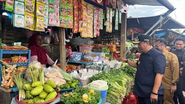 PJ Gubernur Sulbar saat memantau harga bahan pokok di pasar (dok:Ist)