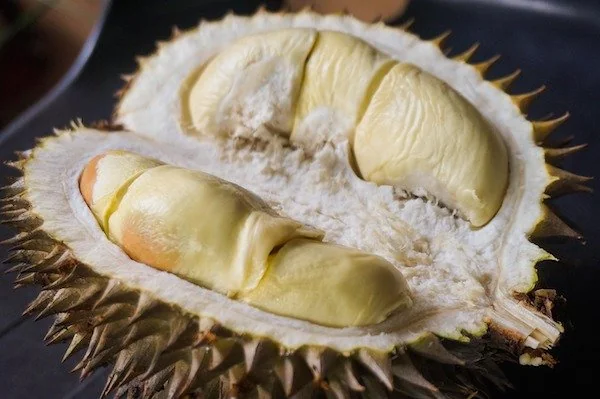 Ilustrasi durian (Dok: Int)