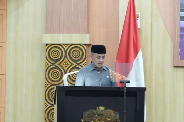 Juru bicara Banggar, Ray Suryadi Arsyad, (Dok: Ist).