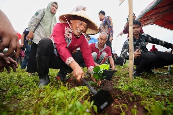 Pj Gubernur Sulsel, Prof Zudan Arif Fakrulloh saat melakukan penanaman bibit pohon (Dok: Ist)