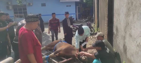 Suasana Unismuh Makassar Lakukan Kurban (Dok: Ist).
