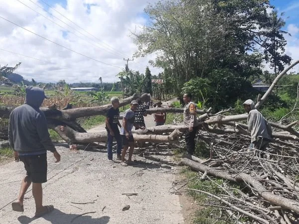 Jajaran personil Polsek Tamalatea, melalui Bhabinkantibmas Aiptu H. Syafaruddin Y saat bergotong royong mengevakuasi pohon timbang bersama warga binaannya di Desa Bangkalaloe (Dok : Ist).