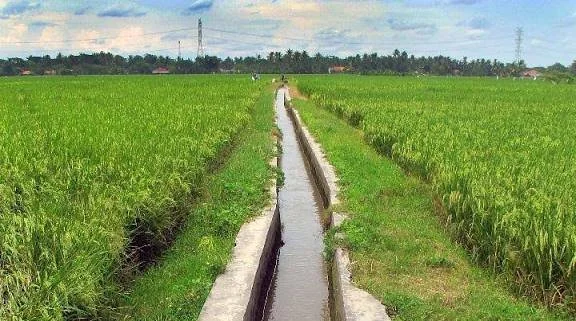 saluran irigasi (dok. Ist)