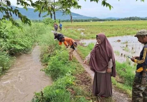 Gerakan Penanganan Dampak Perubahan Iklim di Luwu (Dok: int).