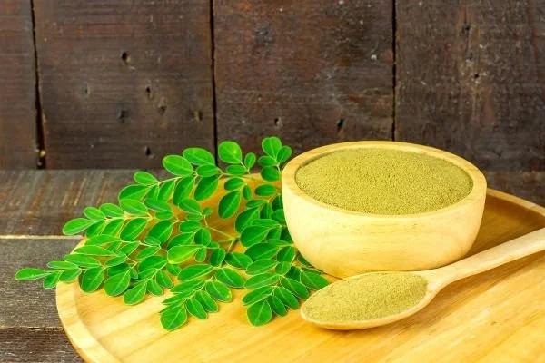 Ilustrasi daun kelor (Dok: Int)