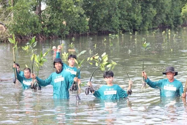 Penanaman 1.500 Magrove eFishery bersama BRPBAP3 Kabupaten Maros, Jumat (14/06) (Dok : ist).