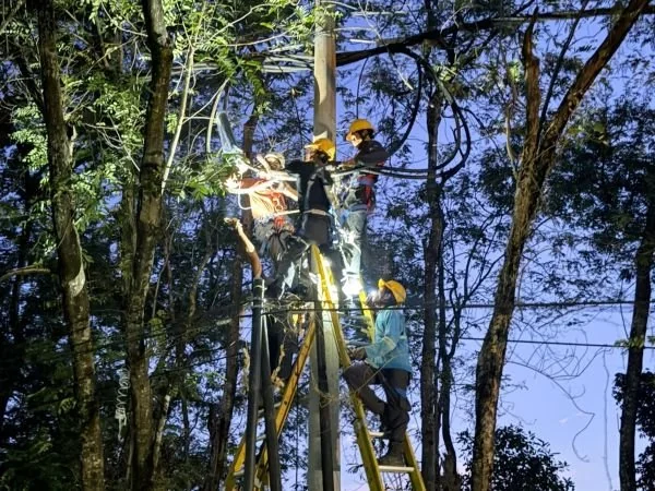 Tim teknis PLN ULP Malino diterjunkan untuk melakukan penanganan secara cepat dan terukur agar pelayanan kelistrikan dapat kembali optimal (Dok: Ist)