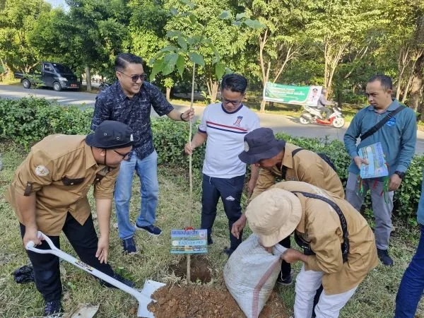: Kepala Dinas Lingkungan Hidup Kota Makassar, Ferdi Muhtar saat menanam 300 bibit pohon di median Jalan Tanjung Metro Tanjung Bunga, di depan Mall GTC (Dok : ist).