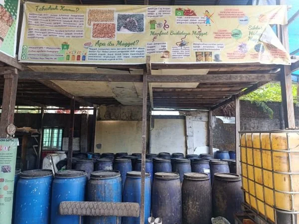 Urban Agrofarm di Toddopuli Kota Makassar (Dok: Ist)