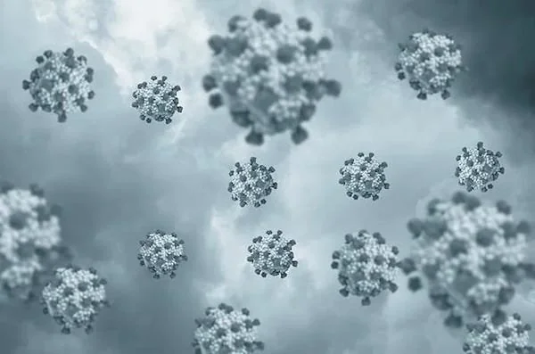 Ilustrasi Virus Flu (Dok: Ist).