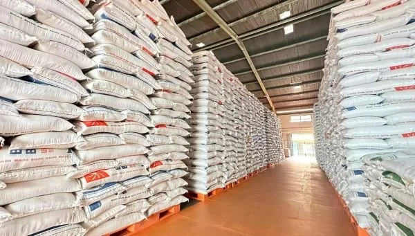 Stok beras di Gudang Bulog (Dok: Ist)