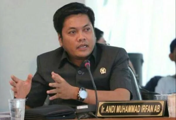 Anggota DPRD Provinsi Sulsel, Irfan AB (Dok: Int)
