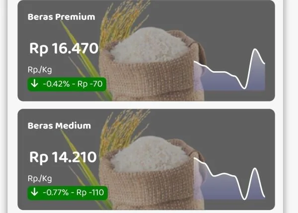 Tabel Fluktuasi Rata-Rata Nasional Bahan Pangan (Sumber : Tabel Data Bapanas).