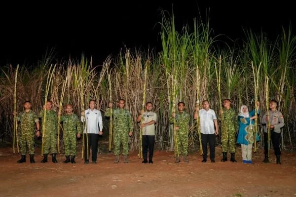 Gubernur Sulsel Hadiri Panen Raya Tebu Bersama TNI. (Dok: Ist)
