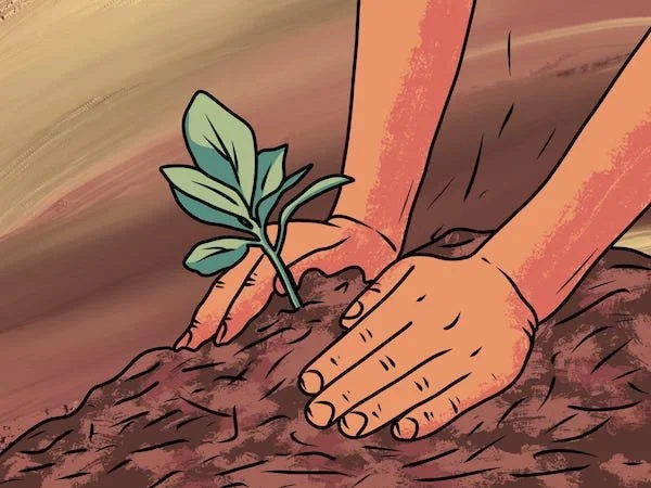 Ilustrasi menanam (Dok: Ist)