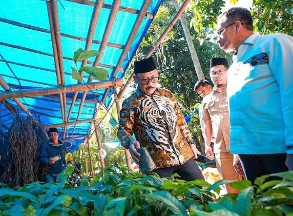Gubernur Sulbar Suhardi Duka saat mengecek langsung bantuan bibit di Polman(dok:ist)