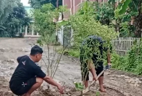 saat warga menanam pohon cabai di tengah jalan