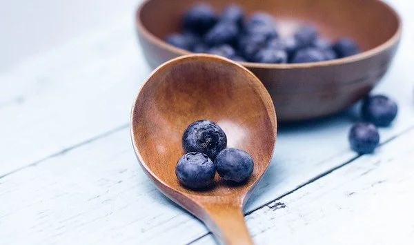 Blueberry memiliki kandungan nutrisi yang baik untuk tubuh (Dok: Int)