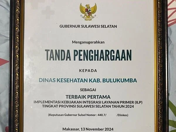 Piagam Penghargaan Dinas Kesehatan  Bulukumba (Dok : Ist).