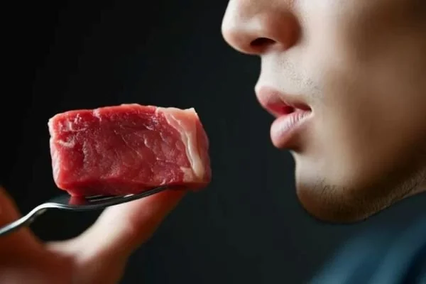 Ilustrasi makan daging sehat (Dok : Int).