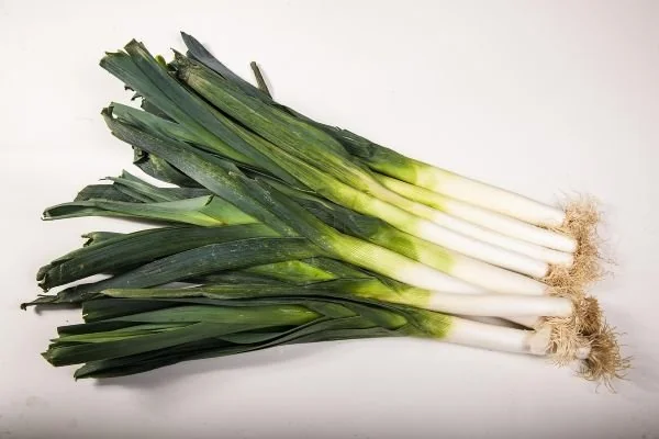 Daun bawang (Dok: Ist)