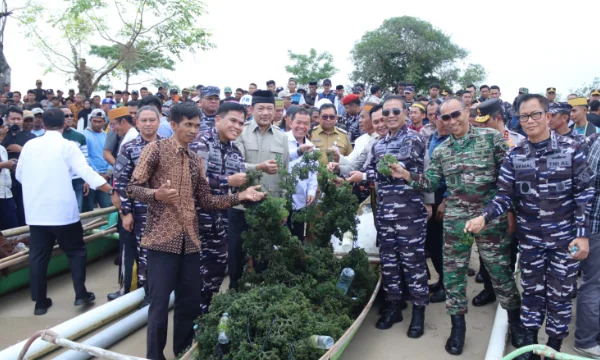 Suasana Di Kecamatan Mangarabombang Takalar