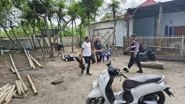 Personil Polsek Binamu saat mengamankan sejumlah barang bukti hasil judi sabung ayam di Lingkungan Ujungloe Timur. (Foto/ist).