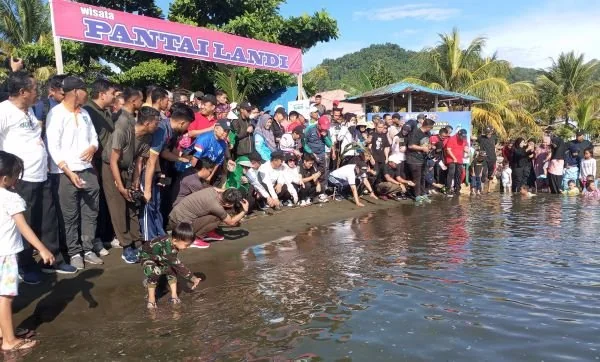 Pj Gubernur saat melepas Tukik di pantai Landi Mamuju (Dok : Ist).
