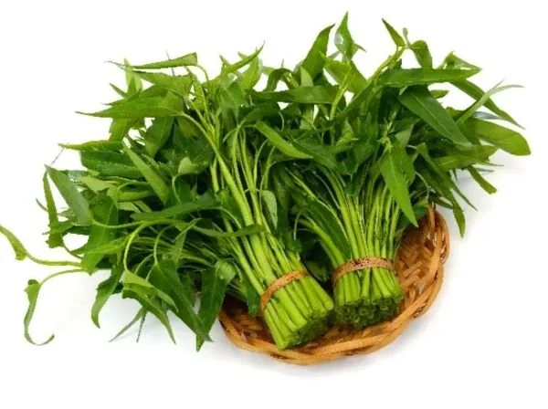 Ilustrasi kangkung (Dok: Int)