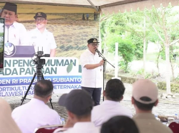 Gubernur Sulbar saat mengikuti Panen Raya Padi dan Pengumuman Swasembada Pangan Nasional di TPHP Provinsi Sulawesi Barat (dok:ist)