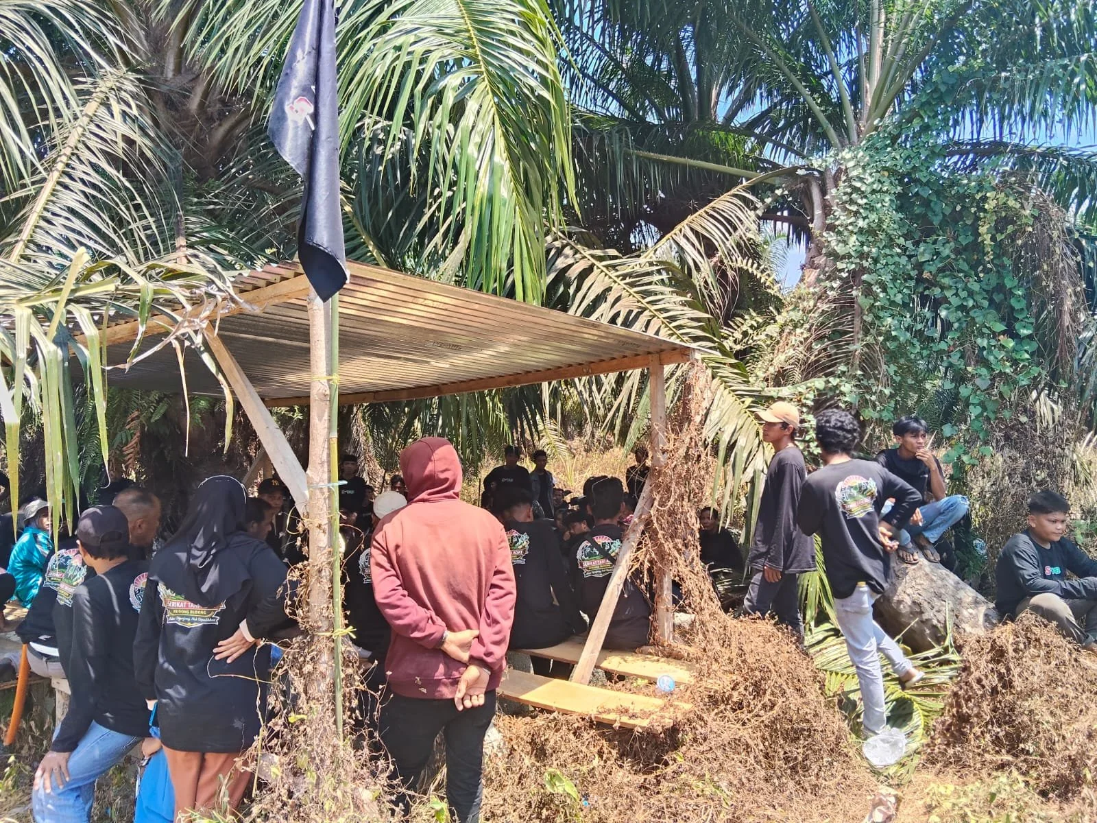 Ratusan Petani di Mamuju tengah saat mendatangi lokasi yang di klaim oleh perusahaan (Dok: Ist)