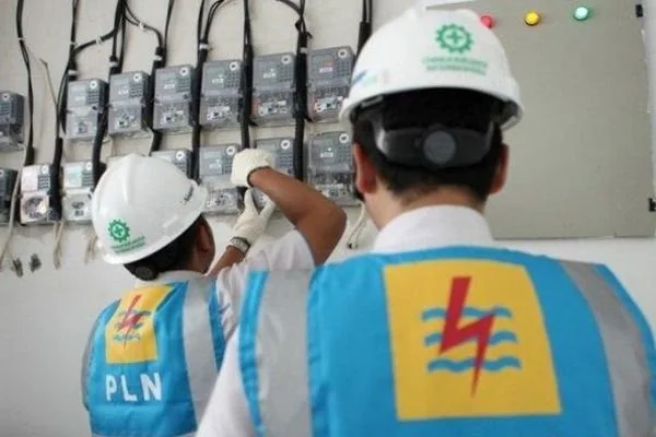 Ilustrasi petugas PLN saat mengecek meteran listrik pelanggan (Dok : Int).