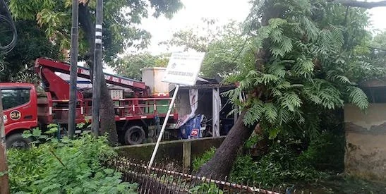 Proses evakuasi pohon tumbang oleh pihak DLH Makassar di Lokasi kejadian Jalan Bonto Mene, Minggu (10/3)