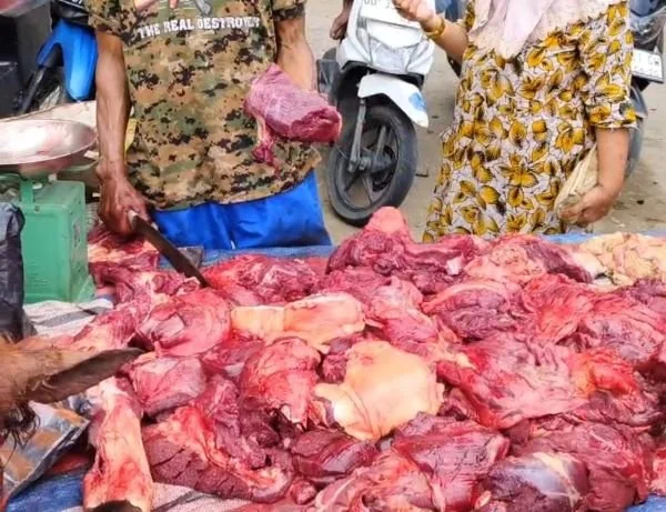Daging Kuda. (Dok: Ist)