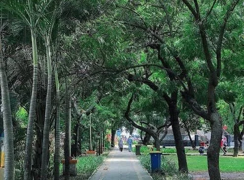 Ruang Terbuka Hijau (Dok: Ist).
