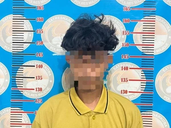Pelaku saat berhasil di amankan pihak kepolisian (dok : Ist).