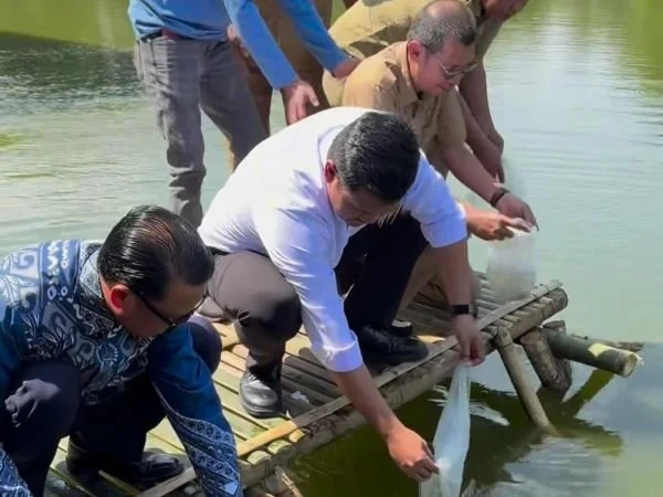 Bupati Bantaeng, M. Fathul Fauzy Nurdin, saat menabur bibit ikan bandeng di kawasan danau buatan Pantai Marina (Dok : Ist).