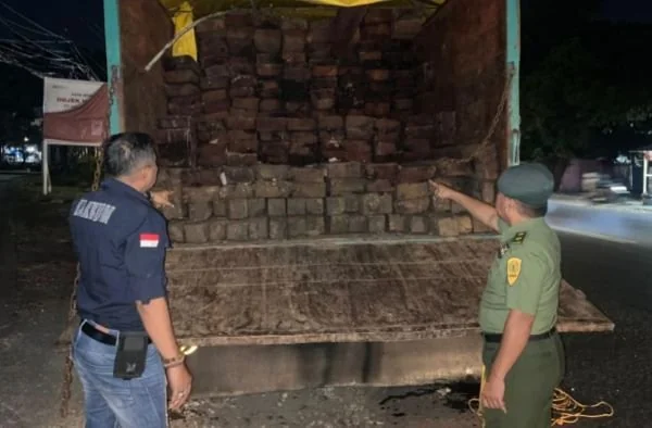 Kayu ilegal yang berhasil diamankan (Dok:Ist)