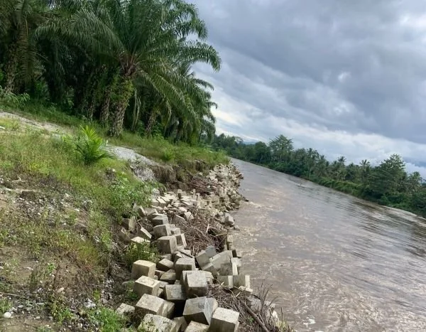 Sungai Kalaena, Luwu Timur.