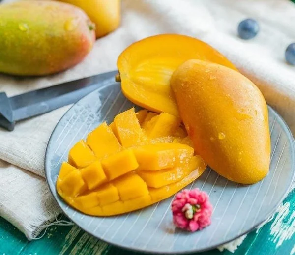 Ilustrasi buah mangga (Dok: Int)