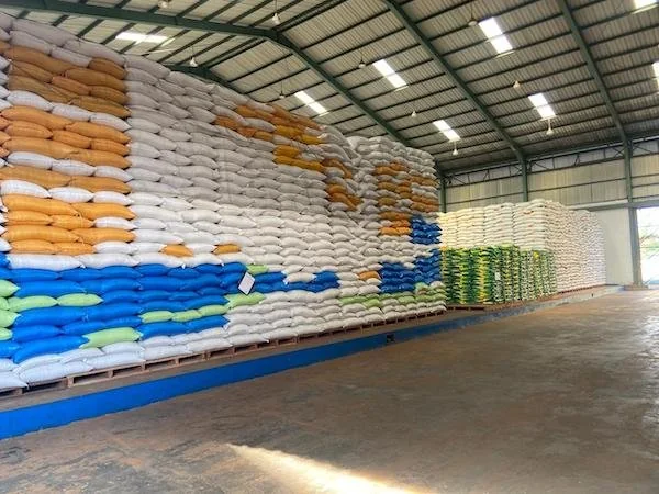 Ketersediaan stok beras di Gudang Bulog Makassar (Dok: Nofi KabarMakassar).
