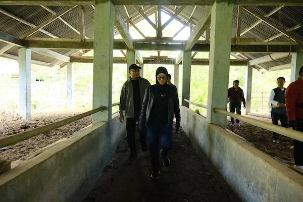 Bupati Gowa, Sitti Husniah Talenrang saat Tinjau Aset (Dok: Ist).